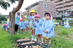 海幼じゃが2015.6.23 194 2