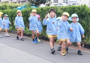 海幼じゃが2015.6.23 220 2