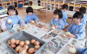 海幼カレ準2015.7.9 014