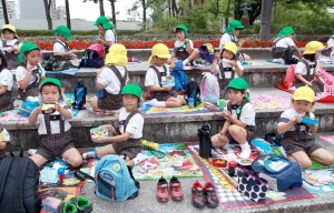 海幼プラタ2015.6.30 152