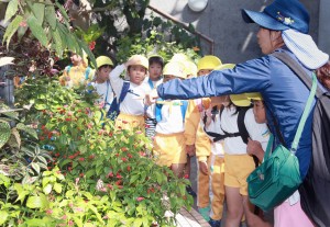 海幼秋遠①15.1016 140