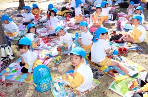 海幼秋遠①15.1016 222 2