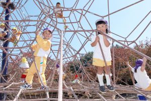 海幼秋遠①15.1016 280 1