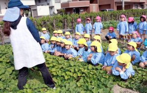 海幼さつ15.10.30 211