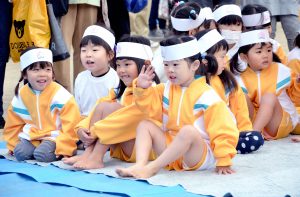 海幼相撲②15.11.28 157