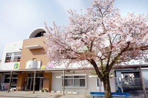 海幼入園16.4.8 021.jpg 2