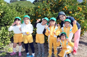 Ｋみかん17.10.31 201 1