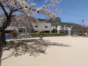 IMG_20220404_132935.jpg③