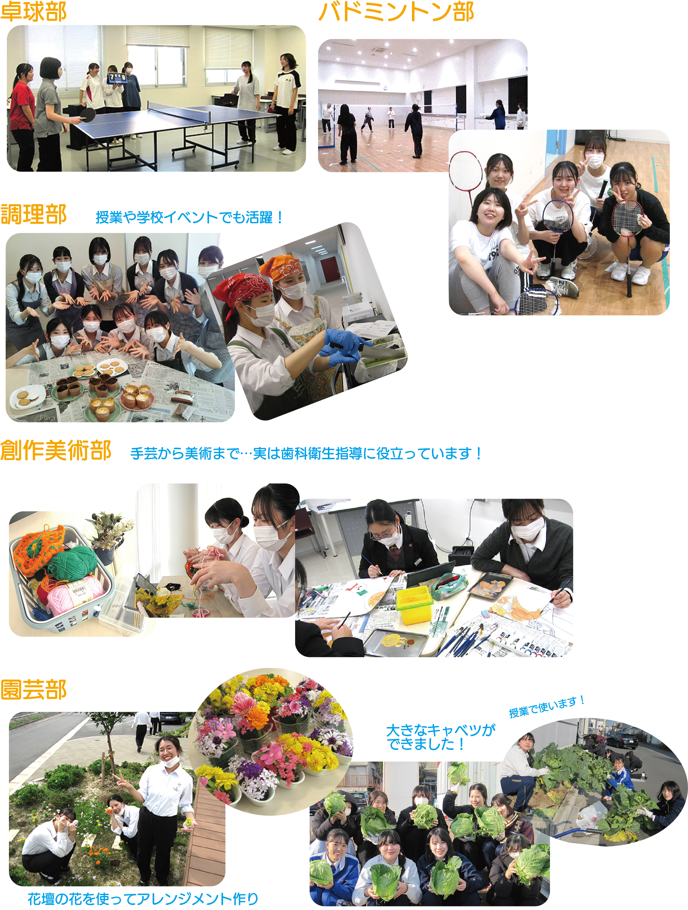 R~jP[VwK